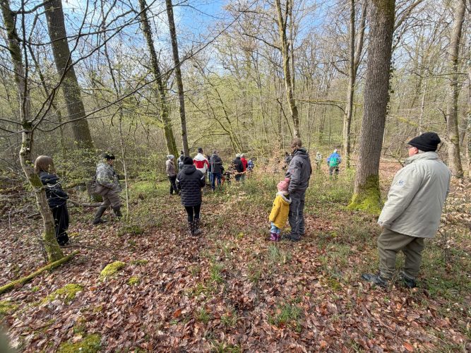 Mardelle aux cloches